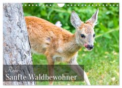 Rehe - Sanfte Waldbewohner (Wandkalender 2026 DIN A4 quer), CALVENDO Monatskalender