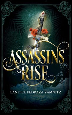Cover Assassins Rise