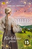 Kärlekens prov (eBook, ePUB) Kärlekens prov (eBook, ePUB)