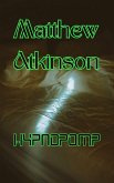 Hypnopomp (Final First, #7) (eBook, ePUB)