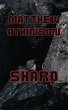 Shard (Final First, #1) (eBook, ePUB) - Bild 1