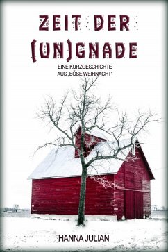 Cover Zeit der (Un)Gnade (eBook, ePUB)