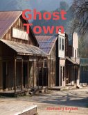 Ghost Town (eBook, ePUB)