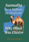 Somalia Just Before Al-Shabaab: Why Peace Was Elusive (eBook, ePUB)