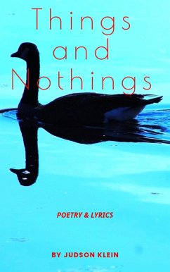 Things and Nothings (eBook, ePUB) - Klein, Judson