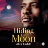Hiding the Moon (MP3-Download) - Bild 1