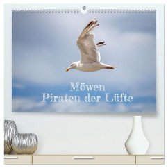 Cover Möwen Piraten der Lüfte (hochwertiger Premium Wandkalender 2026 DIN A2 quer), Kunstdruck in Hochglanz