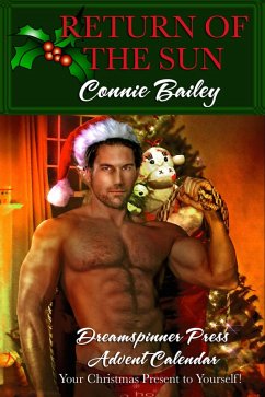 Return of the Sun (eBook, ePUB) - Bailey, Connie