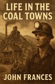 Life in the Coal Towns (eBook, ePUB)