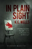 In Plain Sight (eBook, ePUB)