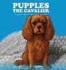 Pupples the Cavalier - Bild 1