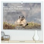Unterwegs in den Hochalpen - Das Alpenmurmeltier im Herbst (hochwertiger Premium Wandkalender 2026 DIN A2 quer), Kunstdruck in Hochglanz