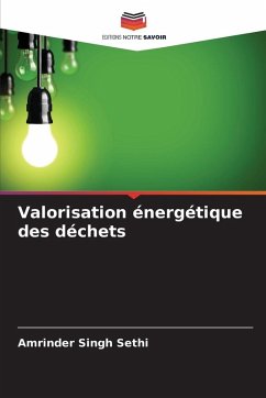 Valorisation énergétique des déchets - Sethi, Amrinder Singh