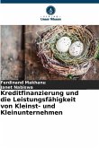 Kreditfinanzierung und die Leistungsfähigkeit von Kleinst- und Kleinunternehmen
