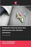 Proteção internacional dos defensores dos direitos humanos: