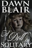 A Doll in Solitary (eBook, ePUB)