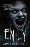 Emily (eBook, ePUB)