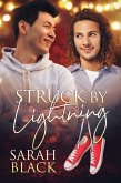 Struck by Lightning (eBook, ePUB)