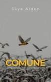 Comune (eBook, ePUB)