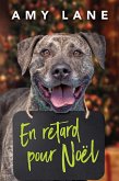En retard pour Noël (eBook, ePUB)