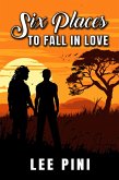 Six Places to Fall in Love (eBook, ePUB)
