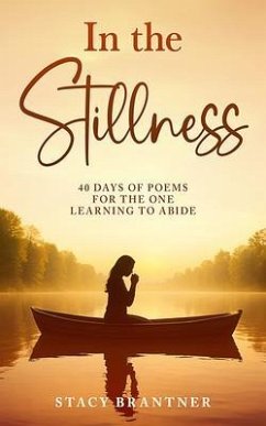 Cover In the Stillness (eBook, ePUB)