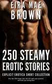 250 Steamy Erotic Stories - Explicit Erotica Shorts Collection (eBook, ePUB)