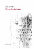 El tránsito de fuego (eBook, ePUB)