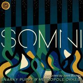 Somni Somni
