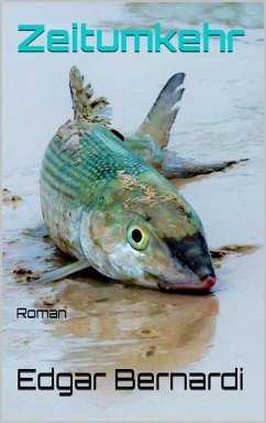 Zeitumkehr (eBook, ePUB) - Bernardi, Edgar