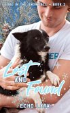 Lost and Found (Love in the Snowfall, #2) (eBook, ePUB)