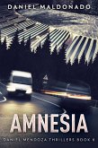 Amnesia (eBook, ePUB)