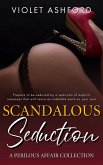 Scandalous Seduction (eBook, ePUB)