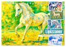 Lipizzaner. Kunstvolle Porträts... - Bild 1
