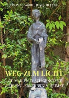 Cover Weg zum Licht