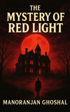 Cover The Mystery of Red Light (Detective Dujo) (eBook, ePUB)