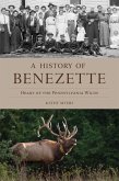 A History of Benezette (eBook, ePUB)