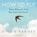 How to Fly (MP3-Download)