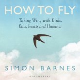 How to Fly (MP3-Download)