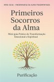 Primeiros Socorros da Alma (Mini-Guia da Reengenharia da Alma Fragmentada, #1) (eBook, ePUB)