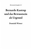 Bernardo Kastrup und das Bewusstsein als Urgrund (Bewusstsein kompakt, #1) (eBook, ePUB)