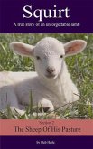 Squirt (eBook, ePUB) Squirt (eBook, ePUB)