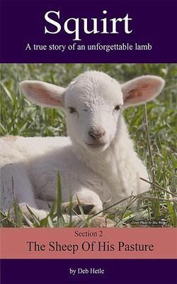 Squirt (eBook, ePUB)