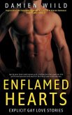 Enflamed Hearts - Explicit Gay Love Stories (eBook, ePUB)