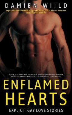 Enflamed Hearts - Explicit Gay Love Stories (eBook, ePUB) Cover Enflamed Hearts - Explicit Gay Love Stories (eBook, ePUB)