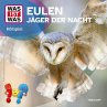 Eulen - Jäger der Nacht (MP3-Download) - Bild 1