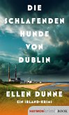 Die schlafenden Hunde von Dublin (eBook, ePUB)
