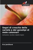 Segni di crescita delle varietà e dei genotipi di mele colonnari
