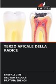 TERZO APICALE DELLA RADICE TERZO APICALE DELLA RADICE