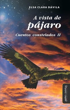 Cover A vista de pájaro (eBook, ePUB)